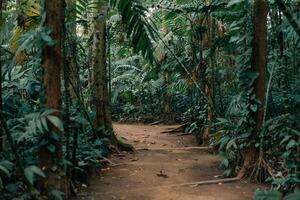 archéologique parc takalik abaj dans retalhuleu, Maya et olmèque, Guatemala - fév 2023 photo