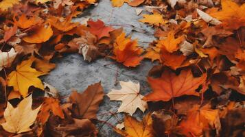 l'automne Contexte avec une lot de coloré déchue feuilles occupant tout le espace photo