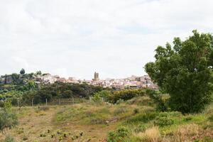 vue de fermoselle de le distance. Zamora, Espagne photo