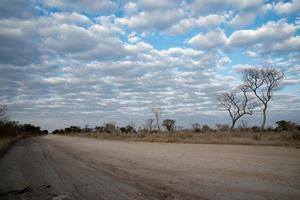 beau paysage avec une route traversant le dessert. ciel nuageux. namibie photo