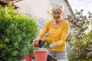 content Sénior femme jardinage dans sa cour. elle est plantation fleurs. photo