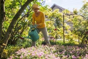 content Sénior femme jouit arrosage les plantes dans sa jardin. photo