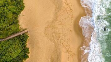 balnéaire camboriu dans Père Noël catarine. taquaras plage et laranjeiras plage dans balnéaire cambodgien. aérien vue dans paysage. photo