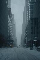 couple en marchant chien dans Nouveau york ville neige orage photo