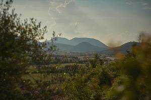 le paysage des colli euganei. photo