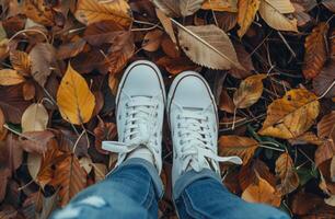 blanc baskets repos sur pile de feuilles photo