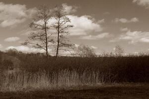 la nature Contexte photo