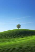 une vert flanc de coteau avec une bleu ciel dans le Contexte photo