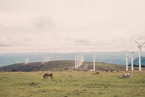 côte d'éoliennes photo