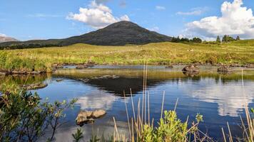 magnifique paysage paysage, rivière avec montagnes et pin des arbres réflexion, la nature Contexte derryclare Naturel réserve à connemara nationale parc, comté Galway, Irlande, fond d'écran photo