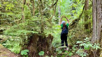 une fille dans une vert T-shirt des stands avec sa retour dans le jungle élevé sa mains en haut elle spectacles sa les doigts le cœur de une adolescents Voyage dans Canada sur Vancouver île dans une forêt couvert avec mousse fougères photo