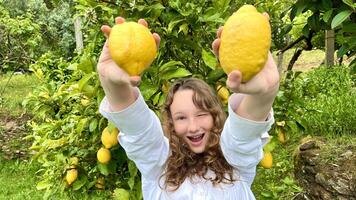 une de bonne humeur adolescent fille dans une blanc chemisier pièces avec citrons contre le Contexte de une citron arbre elle des cris dans délice et se réjouit photo