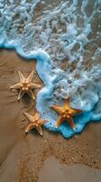 étoile de mer repos sur sablonneux plage par océan photo