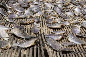 séchées au soleil poisson sur bambou tapis photo