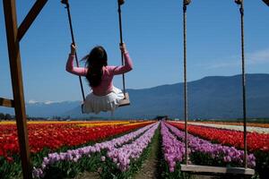 magnifique fille monte sur une balançoire plus de une grand champ de coloré tulipes montagnes et bleu ciel dans le Contexte tulipes grandir dans tout droit Lignes magnifique la nature bien ambiance ensoleillé journée Voyage des promenades en plein air photo