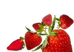 esthétique arrangement de Frais des fraises sur une parfait Contexte photo