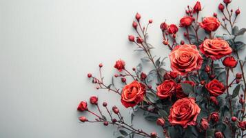 bouquet de rouge des roses sur blanc Contexte photo