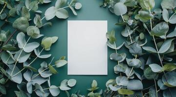 Vide blanc papier carte entouré par eucalyptus feuilles sur sarcelle Contexte photo