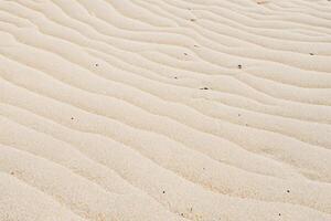 magnifique Naturel motif sables tissé par la nature talent artistique dans une étourdissant tapisserie de terreux teintes et complexe motifs, une intemporel portrait de côtier beauté et sérénité photo