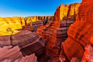 antilope canyon est une fascinant Naturel merveille, renommé à l'échelle mondiale pour ses écoulement rouge Roche formations, fabrication il un de le plus recherché les destinations pour la nature passionnés à travers le globe. photo