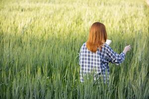 le chercheur est en utilisant sa mains à toucher le orge les plantes et observer le orge rendement et le santé de le les plantes à prendre Remarques et utilisation le Les données à conduite recherche à augmenter orge production. photo