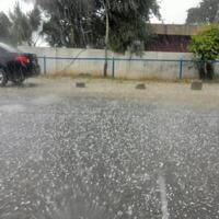 le pluie apporte une richesse à chaque teinte, le bruns approfondir dans une façon cette apaise mon cœur, apporte une stabilité à mon âme. photo