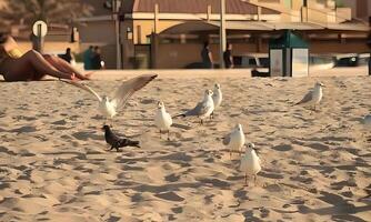 une troupeau de des oiseaux sur le plage photo