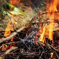 le brûlant de bois est une chimique changement comme il pistes à le formation de Nouveau substances comme carbone dioxyde gaz, l'eau vapeurs, cendre, etc. photo