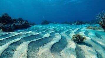 une étourdissant sous-marin paysage à pois avec complexe le sable motifs établi par Masculin poisson-globe photo