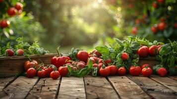 Frais rouge tomates sur en bois Coupe planche avec basilic et épices dans Naturel lumière du soleil photo