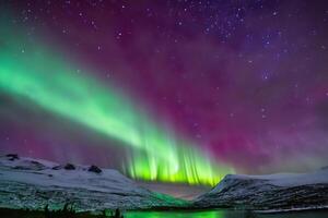 magnifique aurore la nature éblouissant lumière spectacle des peintures le nuit ciel avec magnifique couleurs, captivant spectateurs à l'échelle mondiale dans admiration photo