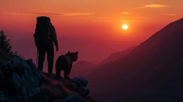 silhouette de une ours et promeneur en train de regarder le le coucher du soleil de une Montagne crête photo