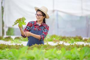 jeune femme, dans, a, serre, ferme biologique, et, légumes, tenue photo