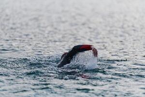 une professionnel triathlète les trains avec inébranlable dévouement pour un A venir compétition à une lac, émanant une sens de athlétisme et profond engagement à excellence. photo