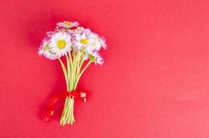 fond de papier lumineux pour carte de vœux avec de délicates marguerites roses. photo