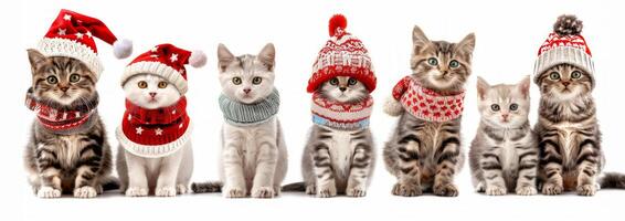 diverse groupe de mignonne chatons dans de fête vacances tenues. concept de Noël, animaux domestiques, fête, adorable animaux. isolé sur blanc Contexte photo