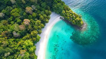 aérien vue de une tropical plage et clair turquoise l'eau. idéal pour Voyage affiches, vacances dépliants, et la nature les blogs. copie espace photo