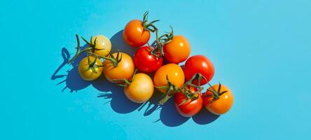 brillant rouge et Jaune tomates sur une vibrant bleu Contexte. Frais légumes, en bonne santé nourriture, coloré conception, culinaire concept. bannière. copie espace photo