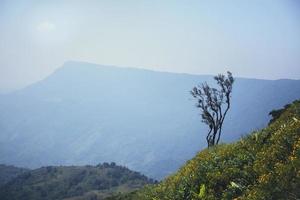 paysage naturel vue ciel montagne. vue sur la montagne .asia tropical. paysage montagne nature. Thaïlande photo