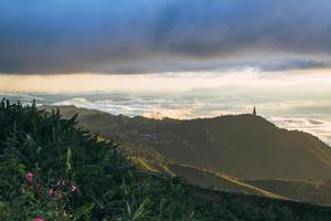 voyager dans la nature, les montagnes et le brouillard. tubercule de phu. district de lom kao, phetchabun, thaïlande photo