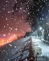 chute de neige dans une hiver parc à nuit avec embrasé lanternes, vue à route avec voiture mouvement, chaussée et des arbres dans brumeux temps. photo