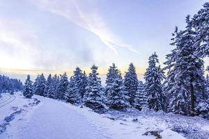 Il a neigé dans le paysage de sapins glacés Brocken Mountain Harz Allemagne photo