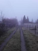 brouillard du matin dans la campagne photo