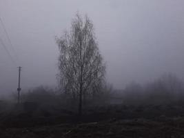 brouillard du matin dans la campagne photo