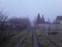 brouillard du matin dans la campagne photo