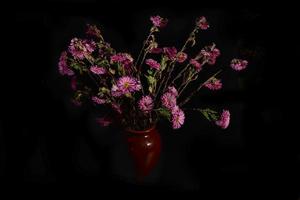 fleurs de chrysanthème rose fanées dans un vase sur fond noir. vue de face photo