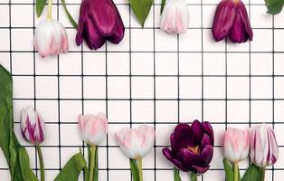 fond floral avec espace de copie. cadre plat de tulipes. fête des femmes, carte de voeux fête des mères photo