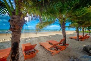 plage chaises et noix de coco paume arbre avec bleu ciel Contexte sur le tropical plage à jour photo