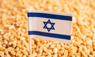 céréales blé avec Israël drapeau, Commerce exportation et économie. photo