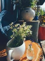 composition de nature morte de fleurs sauvages photo